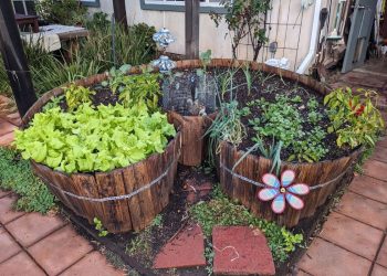 The Complete Guide to Building and Growing a Keyhole Garden The Complete Guide to Building and Growing a Keyhole Garden