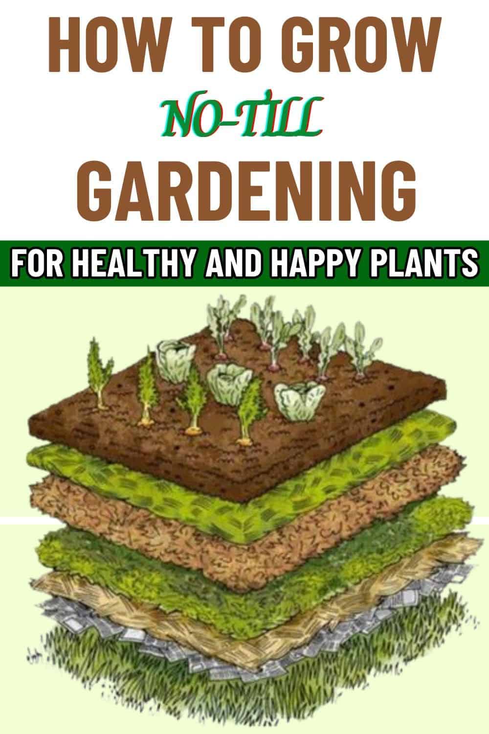 The Ultimate Guide to No-Till Gardening for Healthier Soil and Happier Plants