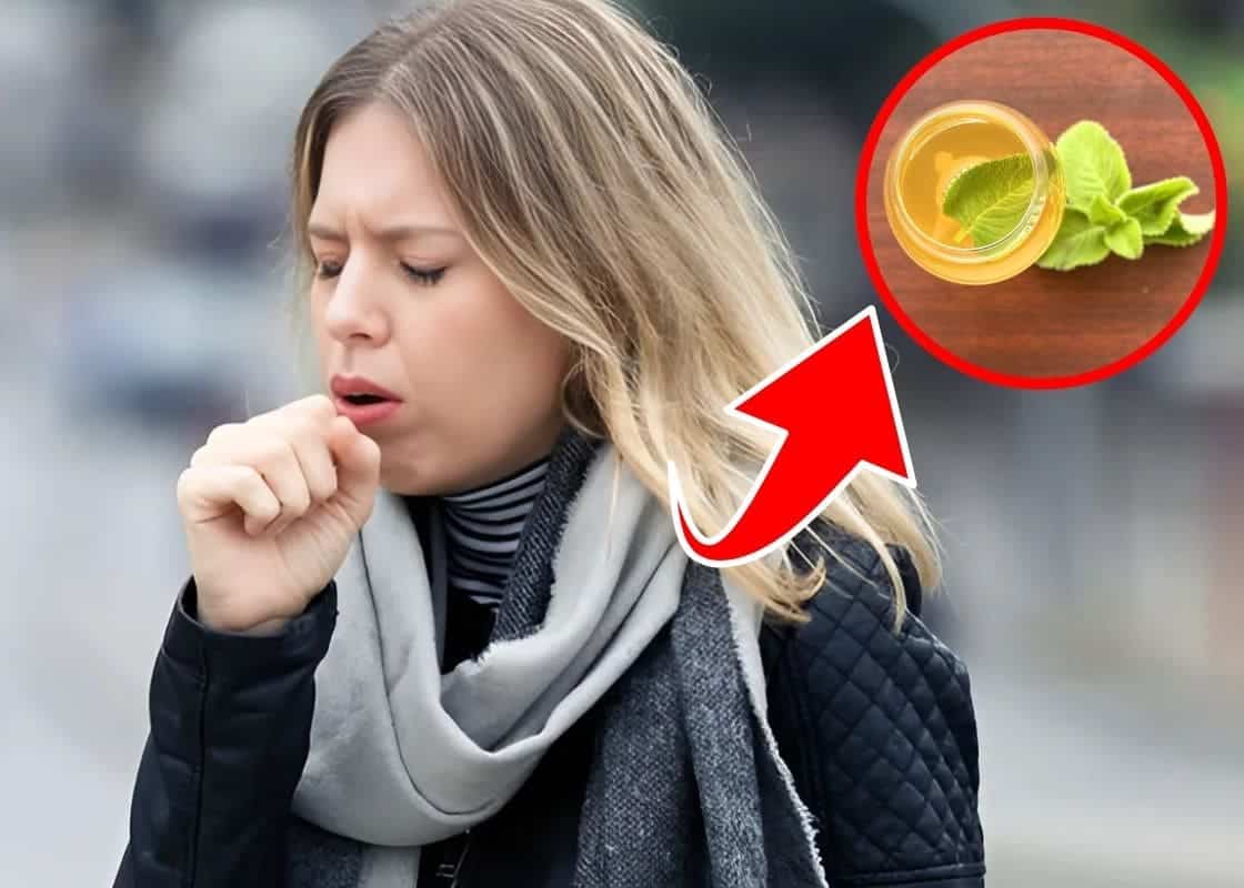 3 Powerful Ways Thick Leaf Mint Can Soothe Your Cough Naturally