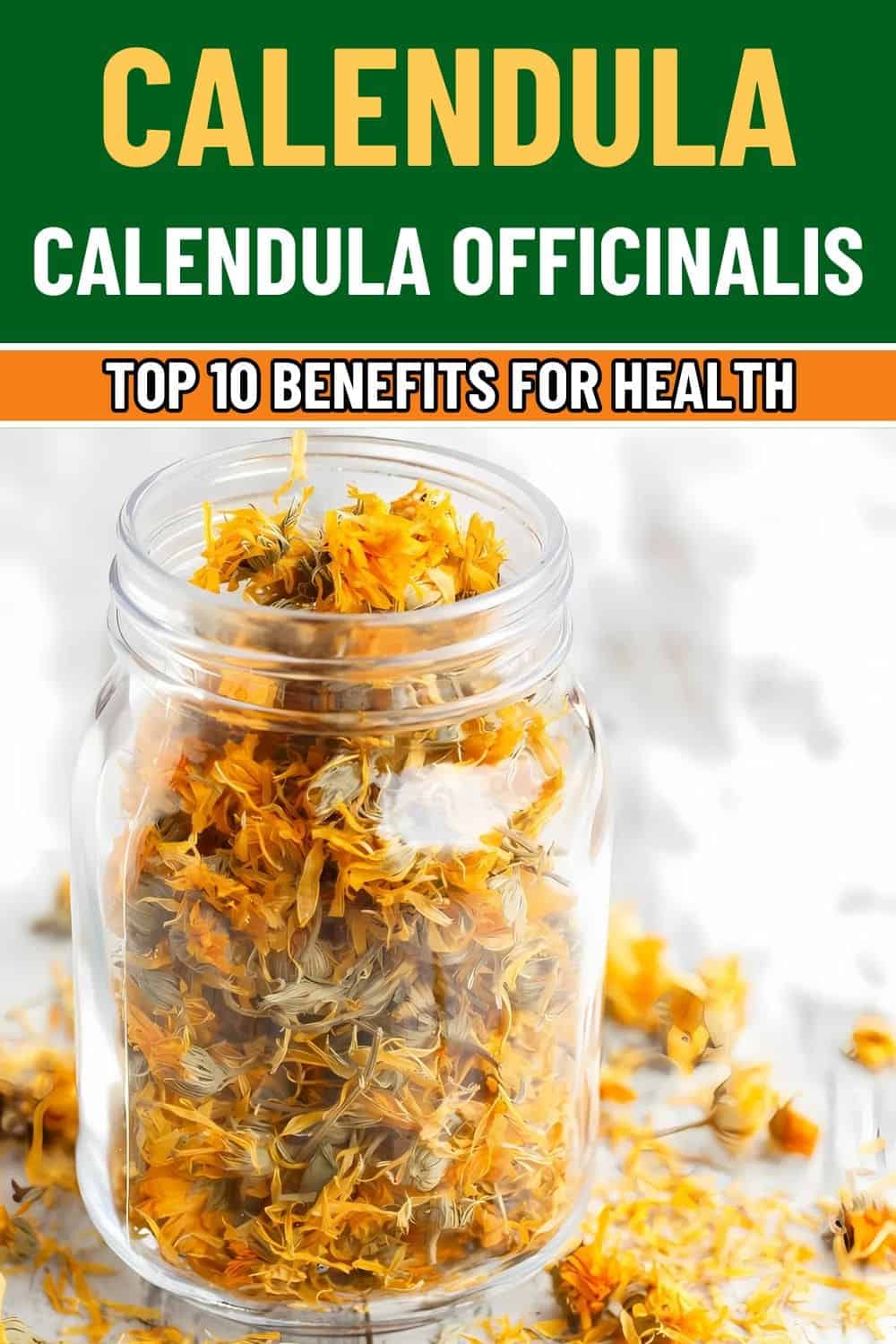 Top 10 Amazing Health Benefits of Calendula As The Garden’s Gift