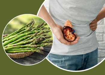 The Health Benefits of Asparagus: Why You Should Add This Superfood to Your Diet