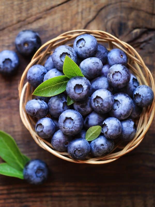 The Many Benefits of Blueberries: Health, Culinary, Environmental, and More