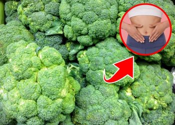 How Broccoli Can Improve Your Health in Unexpected Ways