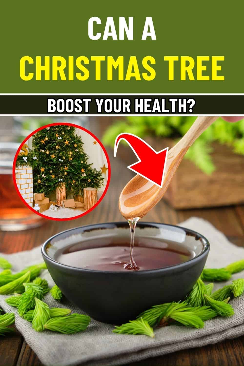 The Christmas Tree Superplant for Health You Might Be Missing This Holiday