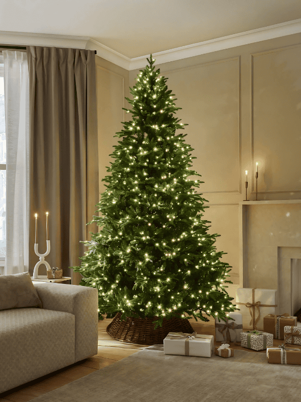 The Christmas Tree Superplant for Health You Might Be Missing This Holiday