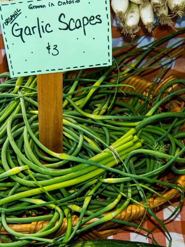 6 Surprising Health Benefits of Garlic Scapes You Didn’t Know About