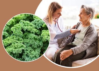 The 6 Incredible Health Benefits of Kale Leaves You Can’t Ignore