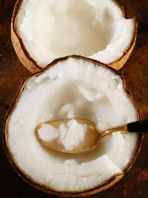 Top 7 Reasons Why Coconut Meat Is a Must-Have Superfood