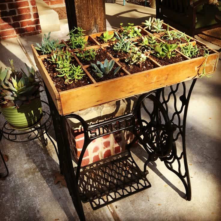 Charming Succulent Planter Sewing Table