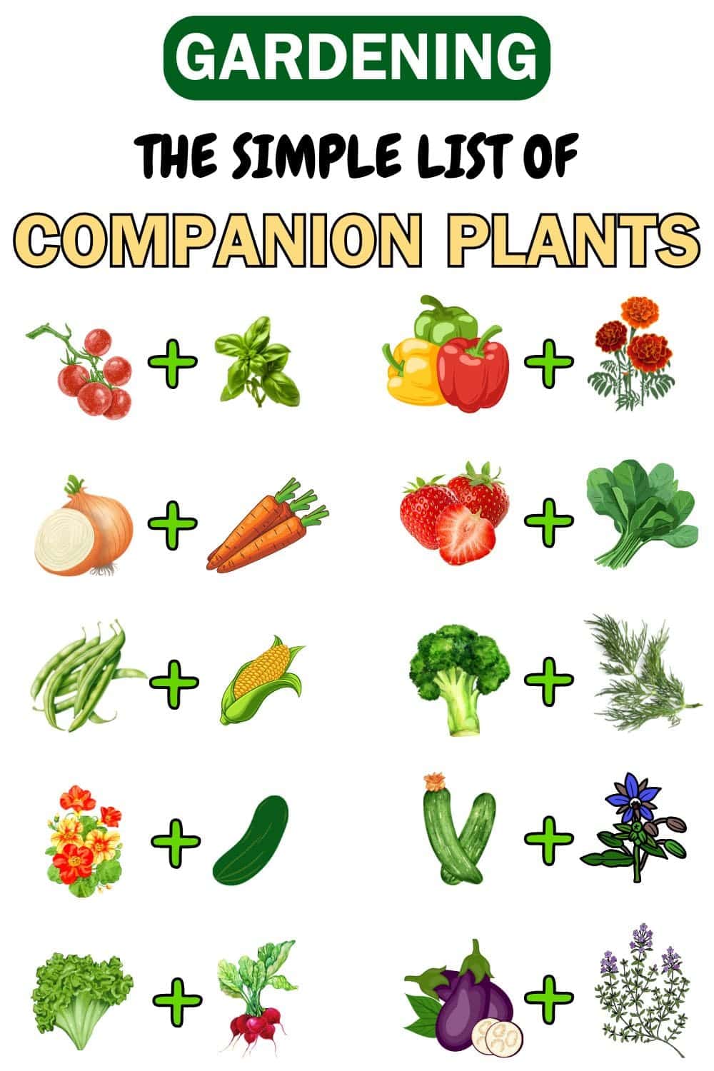 Top Companion Planting Pairs For a Thriving Garden