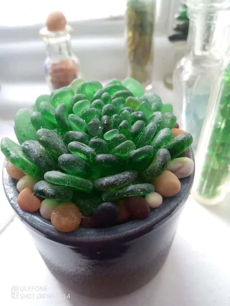 Vibrant Sea Glass Succulent Decor