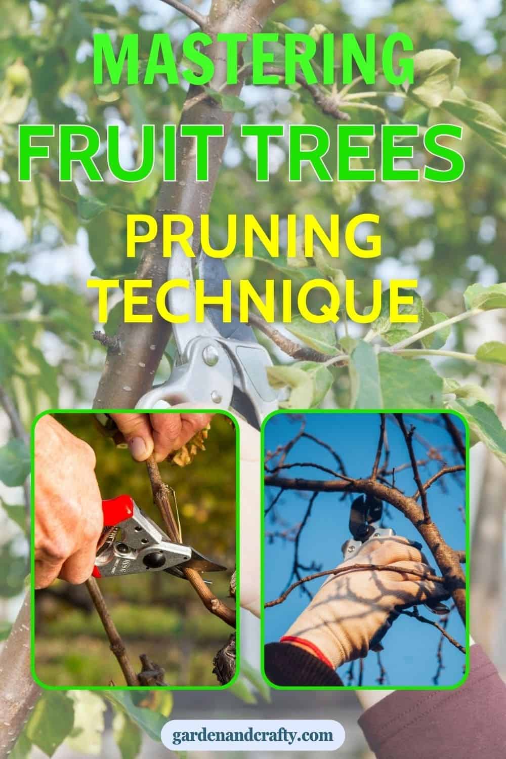 Guide on Mastering Fruit Tree Pruning: Techniques for Healthier Growth and Bigger Harvests