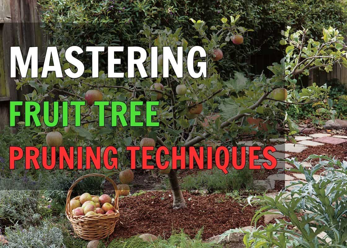 Guide on Mastering Fruit Tree Pruning: Techniques for Healthier Growth and Bigger Harvests