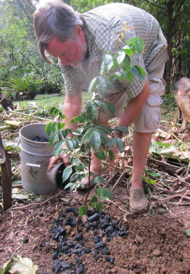 Revitalize Garden Soil Immediately with This Charcoal Enrichment Method