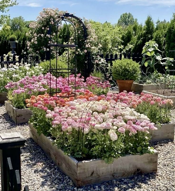 Charming Raised Flower Beds with Elegance