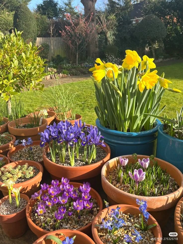 Charming Spring Bloom Container Haven