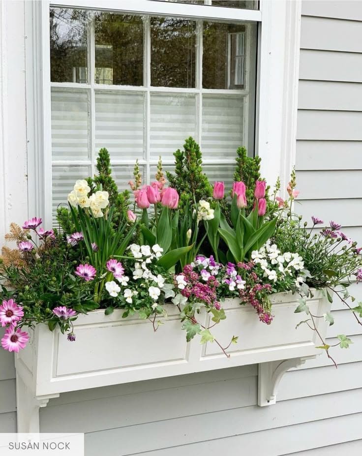 Charming Window Box Overflowing with Blooms