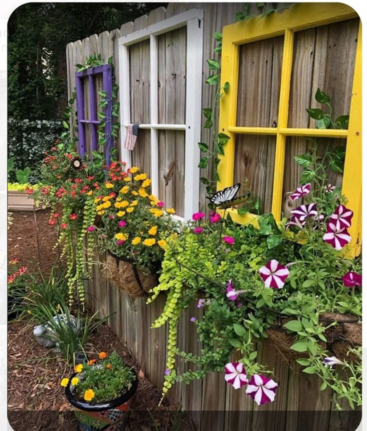 Charming Window Frame Flower Wall