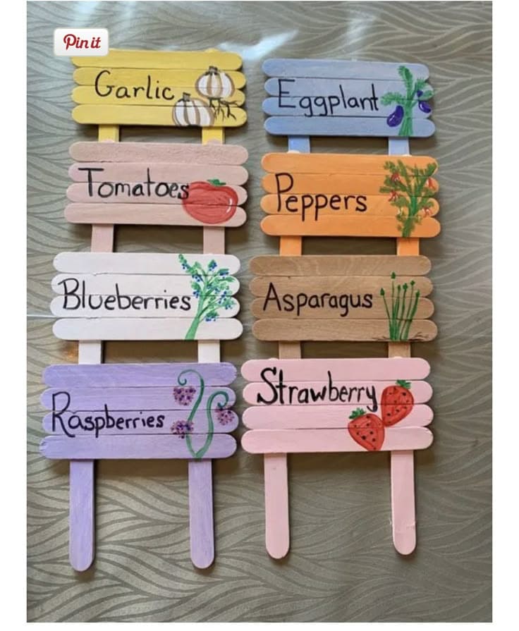 Colorful DIY Popsicle Stick Garden Markers