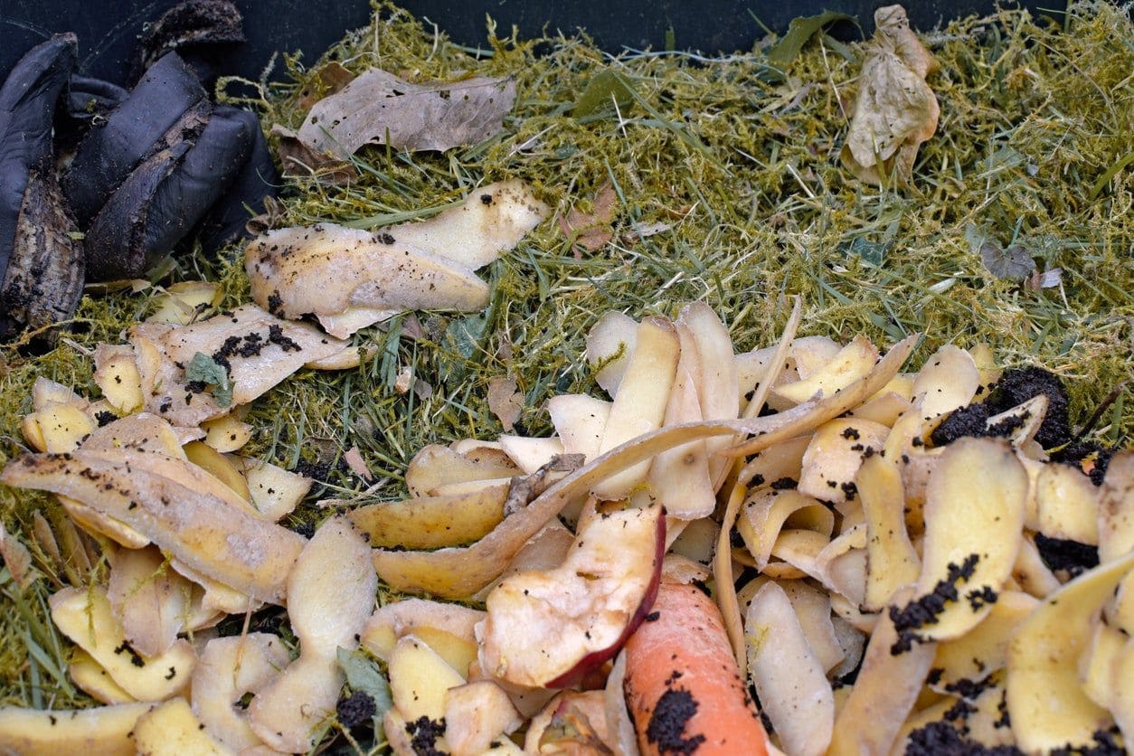 The Secret Power of Potato Peels: Turning Kitchen Scraps into Garden Gold