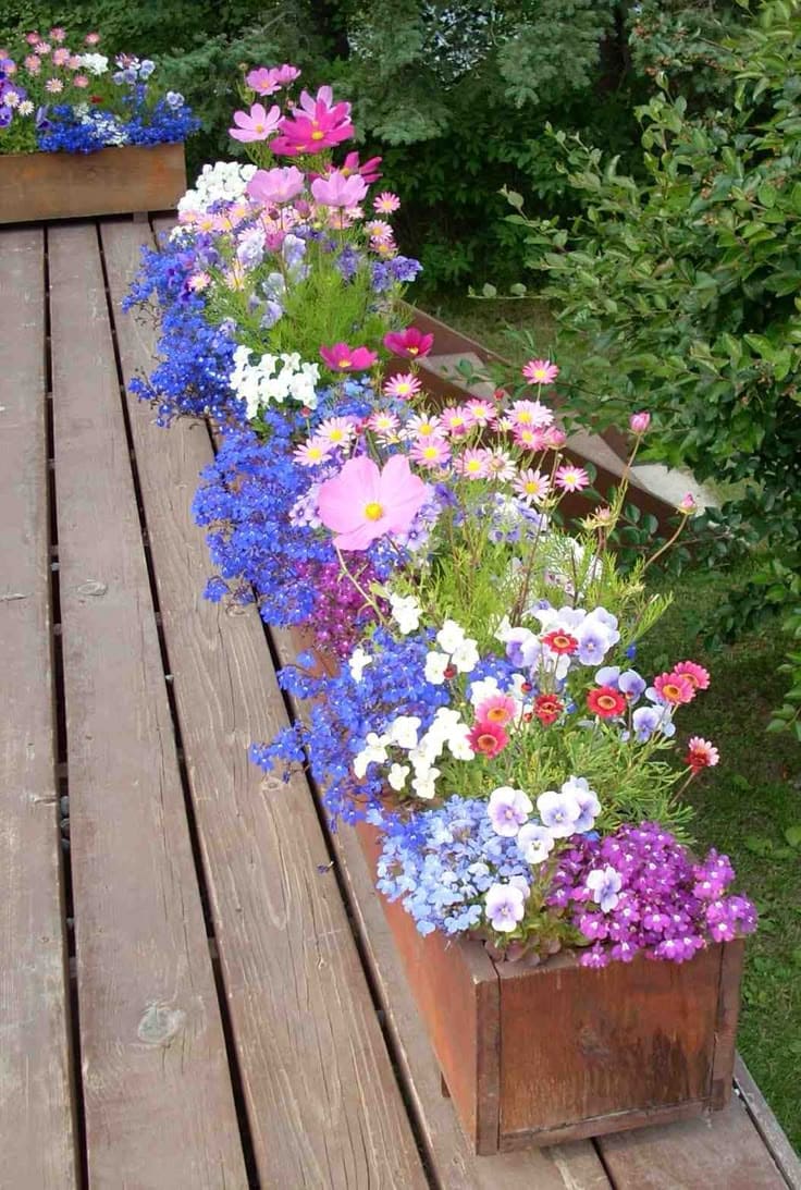 Enchanting Deckside Blooms in Rustic Planters