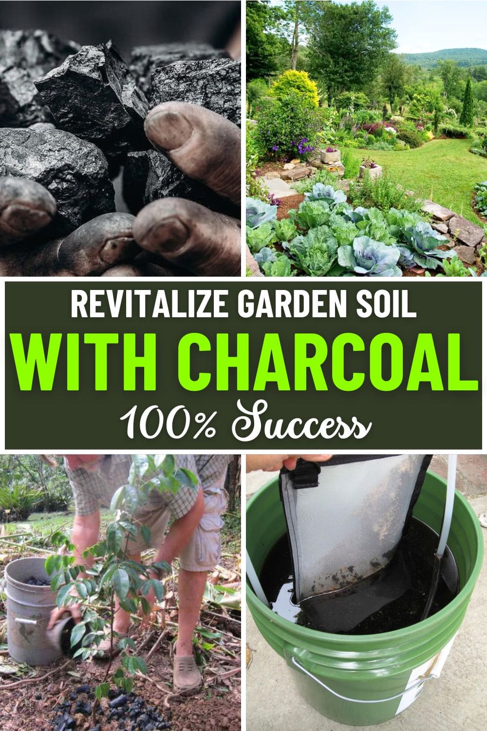 Revitalize Garden Soil Immediately with This Charcoal Enrichment Method