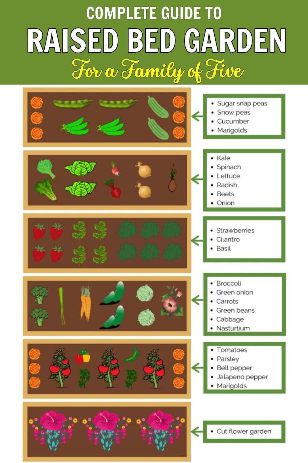 Complete Guide to Raised Bed Garden Ideas for Nourishing a Family of Five