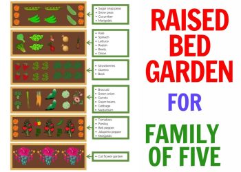 Complete Guide to Raised Bed Garden Ideas for Nourishing a Family of Five