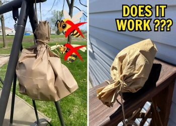 The Simple Paper Bag Trick to Keep Bees and Wasps Away – Without Harming Them
