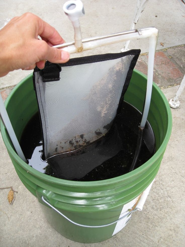 Revitalize Garden Soil Immediately with This Charcoal Enrichment Method