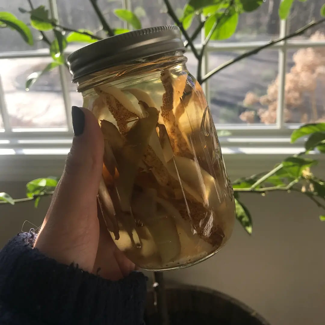 The Secret Power of Potato Peels: Turning Kitchen Scraps into Garden Gold