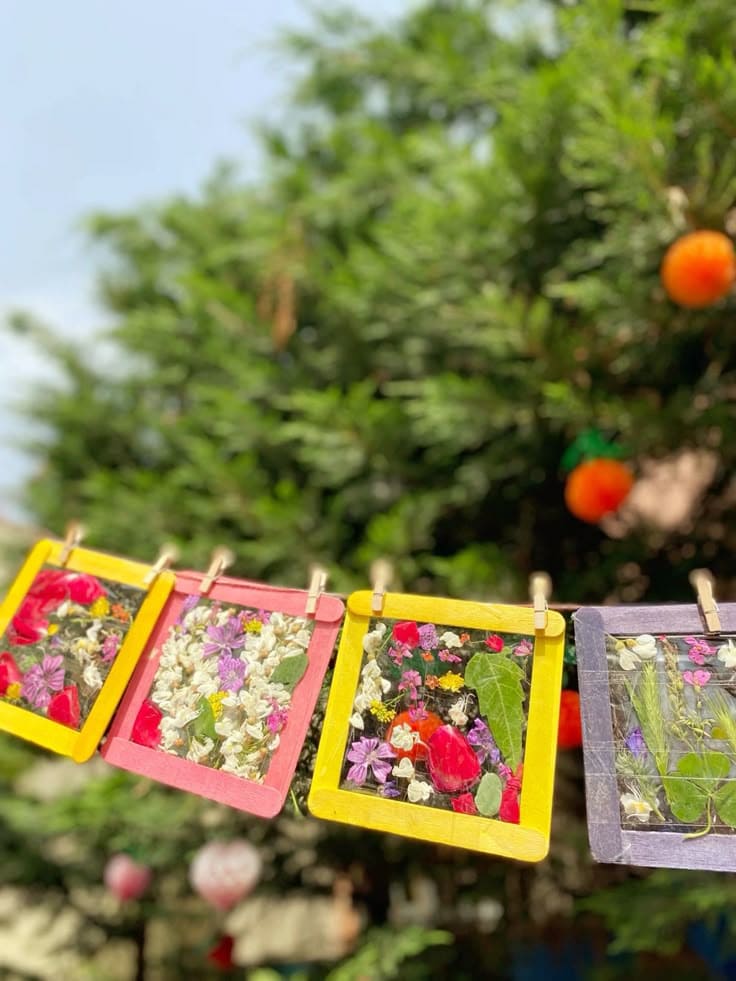 Pressed Flower Window Suncatchers