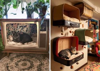 27 Adorable & Creative DIY Cat Nook Ideas for a Cozy Feline Retreat