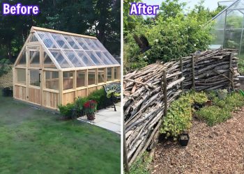 Nature’s Secret Barrier: How to Craft a Charming Dead Hedge in Your Backyard