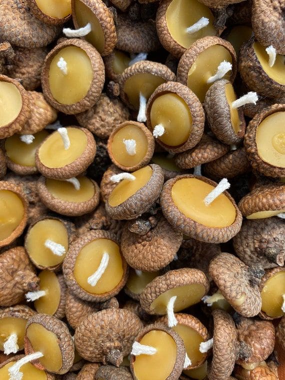 Acorn Cap Beeswax Candles