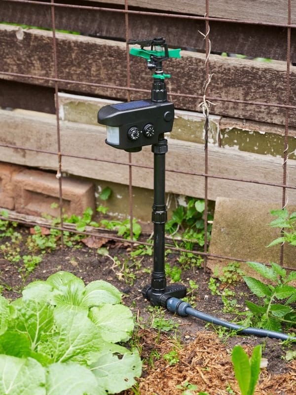 How to Keep Wild Animals Out of Your Garden Without Losing Your Mind