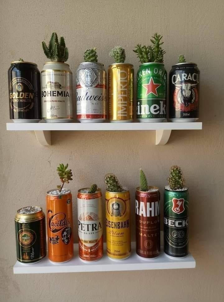 Beer Can Succulent Planters