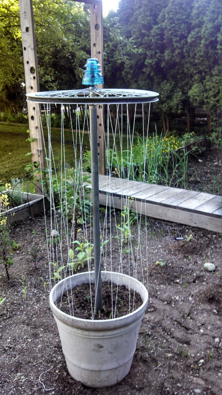Bicycle Wheel Vertical Trellis
