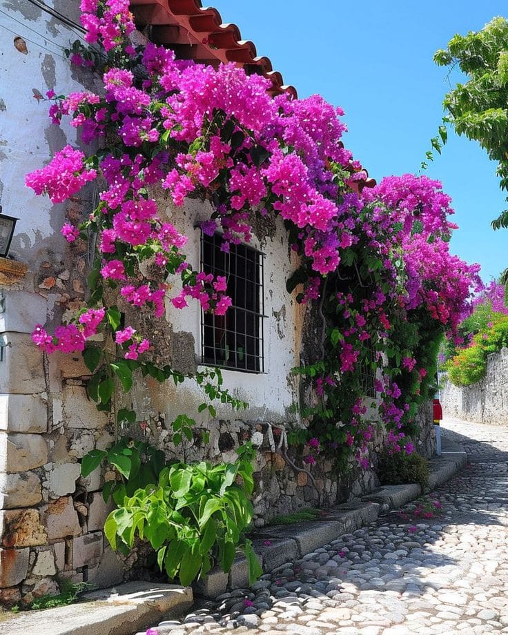 10 Fastest Growing Vines for Trellises That’ll Cover Any Space in No Time