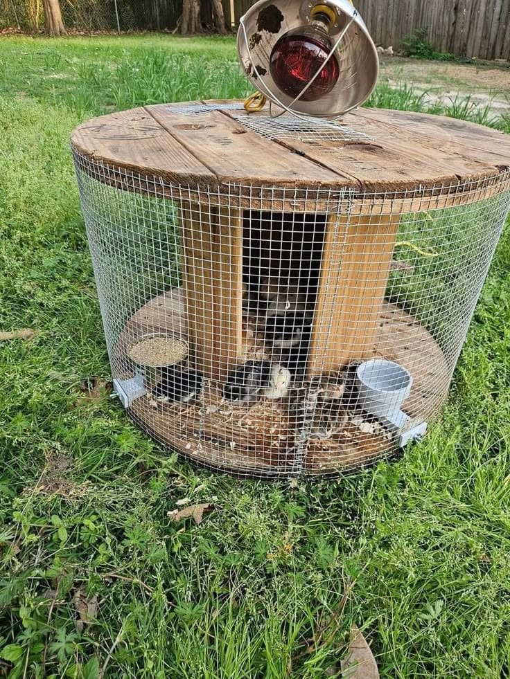 Cable Spool Chicken Coop Table
