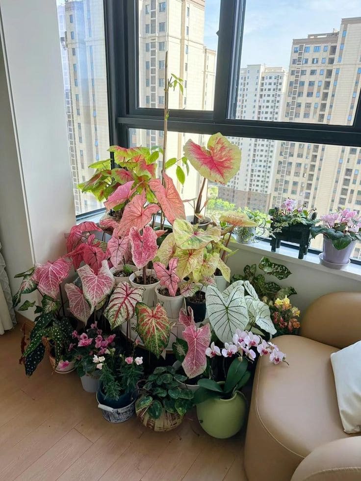 15 Shade-Loving Plants That Beat the Heat (And Still Look Gorgeous Doing It)