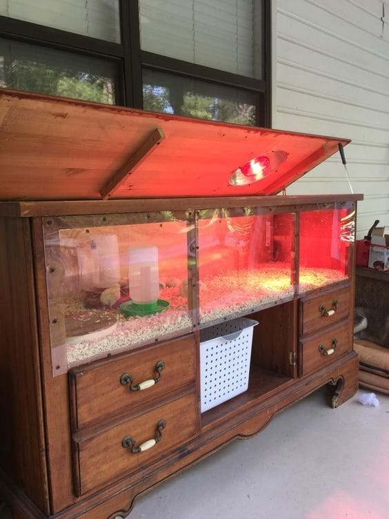 Chick Brooder Dresser