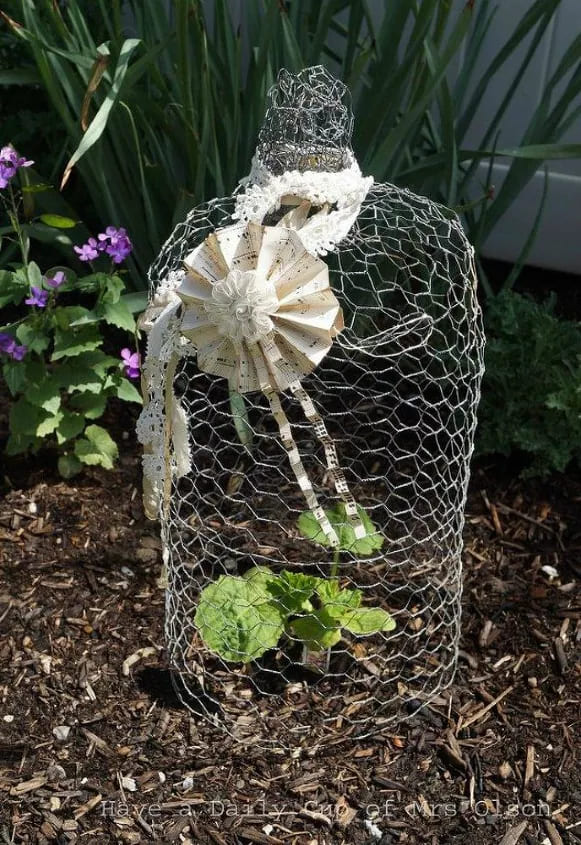 Chicken Wire Plant Protector