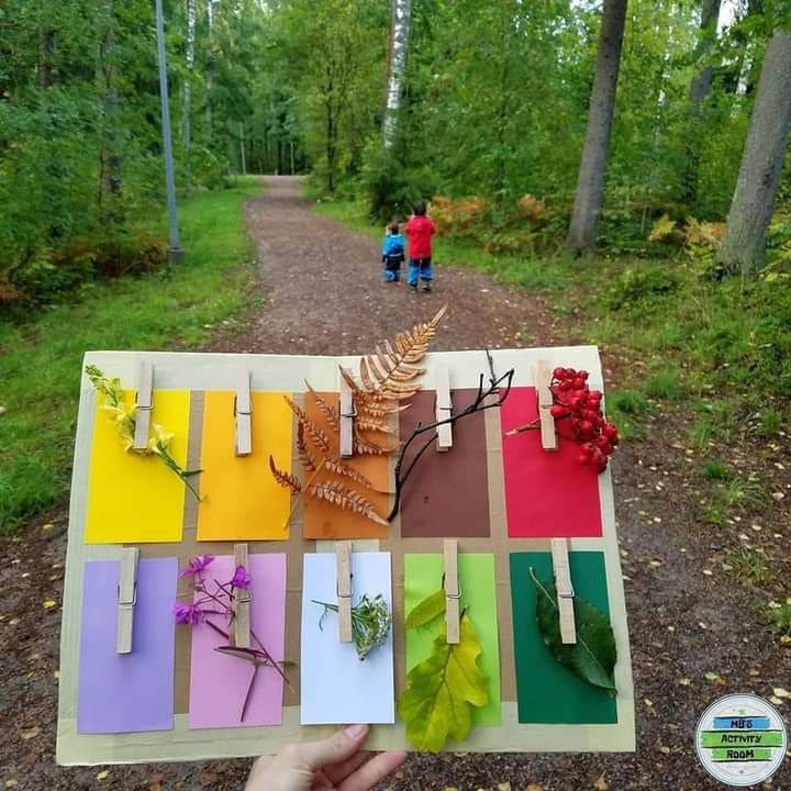 Color Hunt Nature Walk
