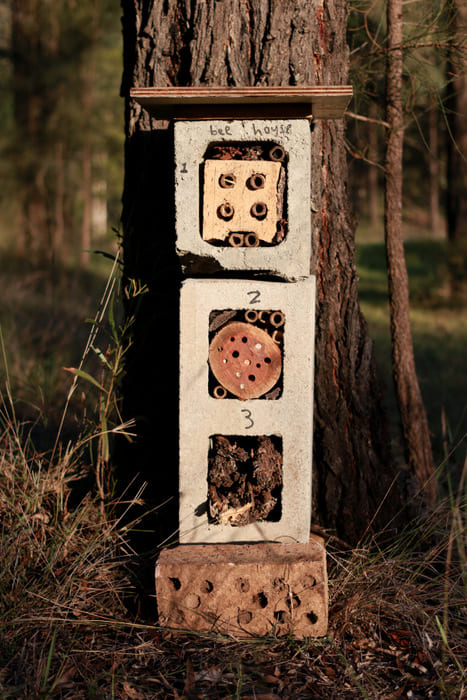 Concrete Stack Bee Hotel