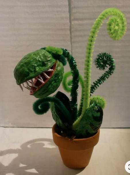 DIY Mini Venus Flytrap Walnut Craft