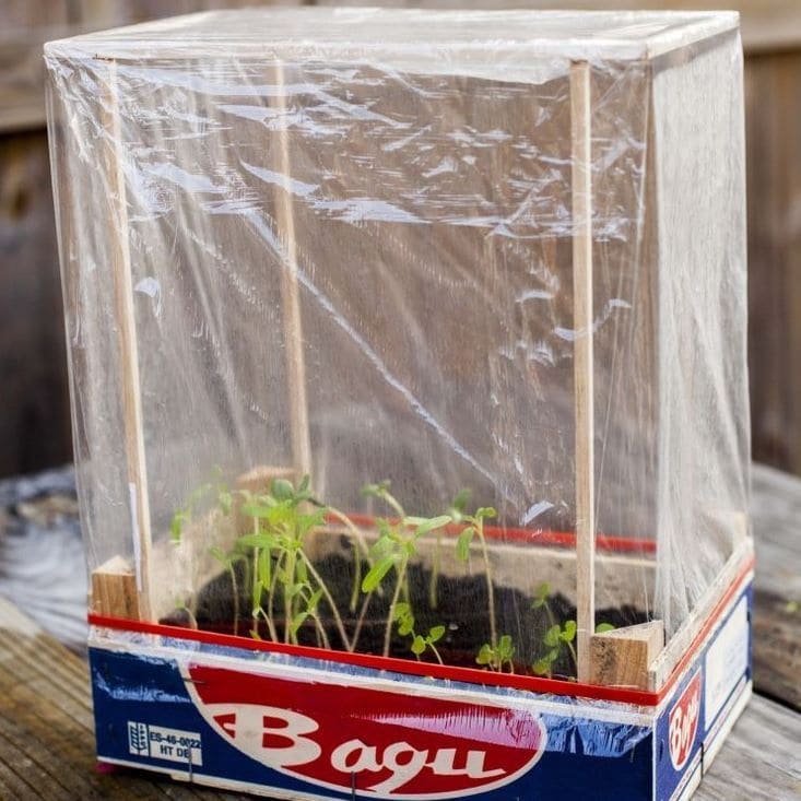 DIY Tabletop Greenhouse Using a Recycled Crate