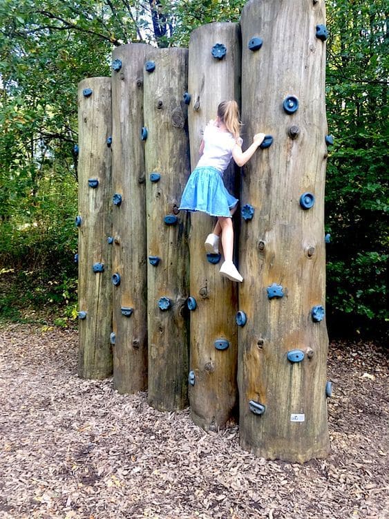 DIY Tree Log Climbing Wall