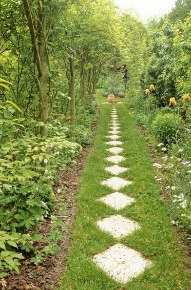 Diamond Path Through a Garden Tunnel