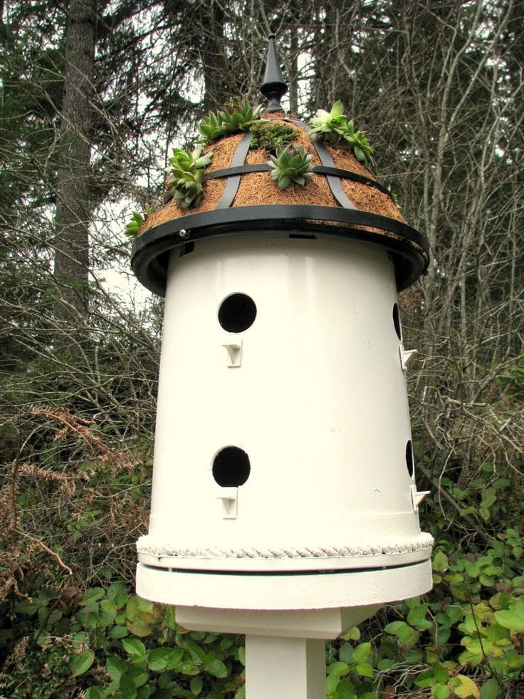 Elegant Succulent-Topped Birdhouse Tower